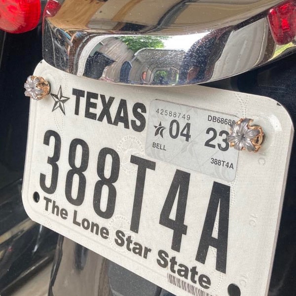 License Plate Bolts Etsy