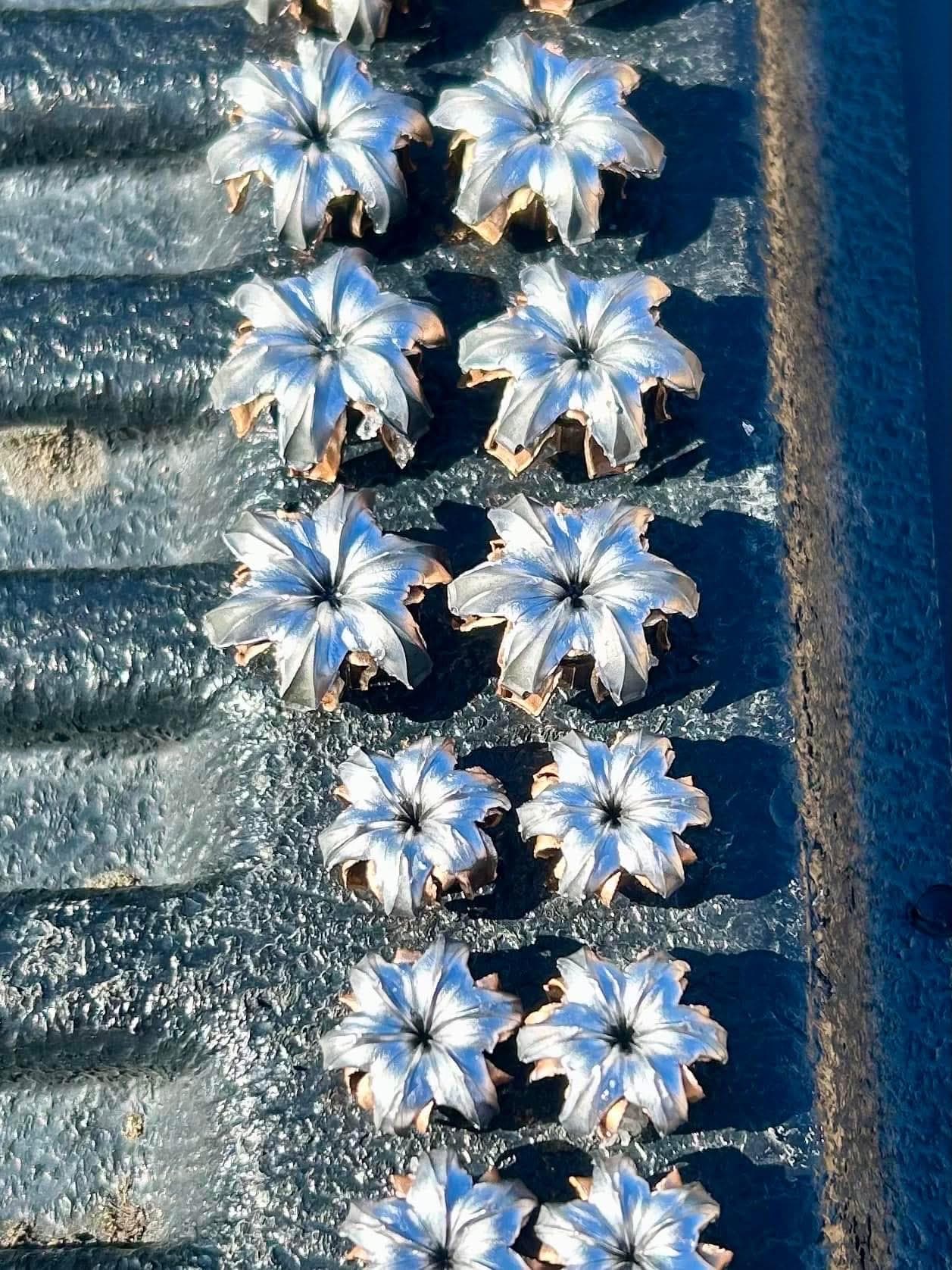 Just the Bullet (bullet Flower) - Etsy