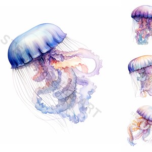 Watercolor Jelly Fish Clipart - 8 High Quality PNGs - Digital Download - For Personal and Commercial Use