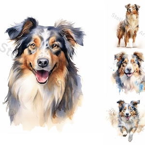 Watercolor Australian Shepherd Clipart - 8 High Quality PNGs - Digital Download - For Personal and Commercial Use