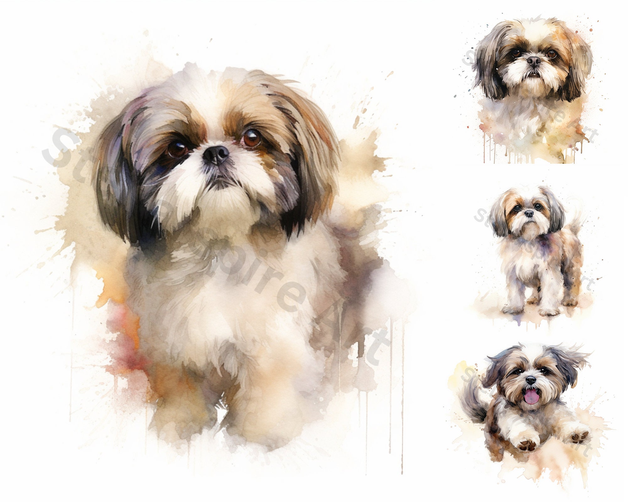 Watercolor Shih Tzu Clipart - 8 High Quality Pngs - Digital Download ...