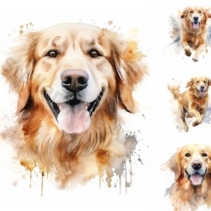 Watercolor Golden Retriever Clipart - 8 High Quality PNGs - Digital Download - For Personal and Commercial Use
