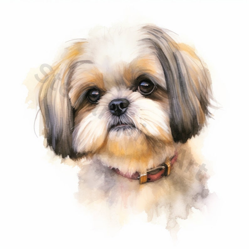 Watercolor Shih Tzu Clipart - 8 High Quality Pngs - Digital Download ...