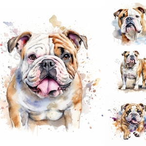 Watercolor Bulldog Clipart - 8 High Quality PNGs - Digital Download - For Personal and Commercial Use
