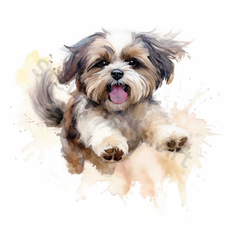 Watercolor Shih Tzu Clipart - 8 High Quality Pngs - Digital Download ...