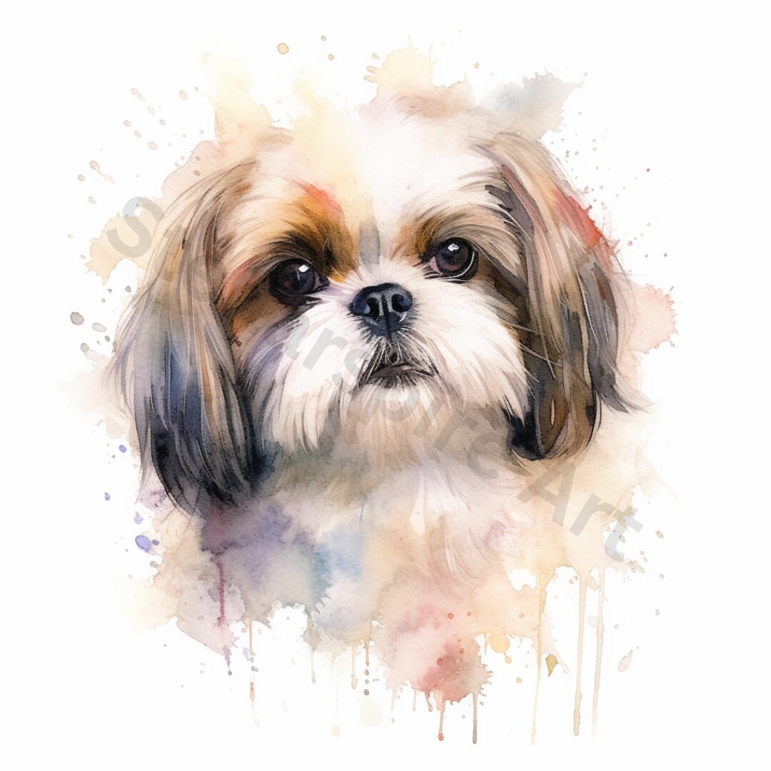 Watercolor Shih Tzu Clipart - 8 High Quality Pngs - Digital Download ...