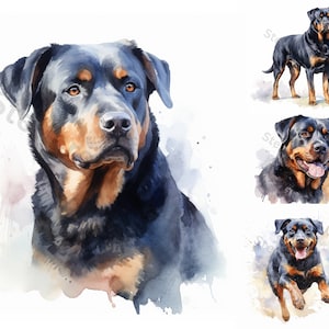 Watercolor Rottweiler Clipart - 8 High Quality PNGs - Digital Download - For Personal and Commercial Use