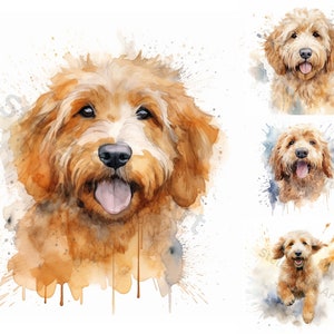Acuarela Golden Doodle Clipart - 8 PNG de alta calidad - Descarga digital - Para uso personal y comercial