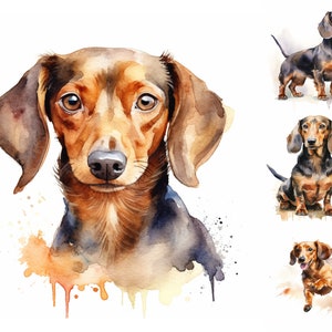 Watercolor Dachshund Clipart - 8 High Quality PNGs - Digital Download - For Personal and Commercial Use