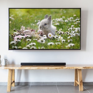 Puede incluir: Una pantalla de televisión muestra un conejo gris rodeado de margaritas y huevos de Pascua. El televisor está montado en una pared blanca sobre un banco de madera. Una barra de sonido está en el banco y dos jarrones de cerámica a la izquierda.