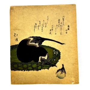 Meiji Period Japanese Woodblock Print Eggplants in a Basket by Totoya Hokkei