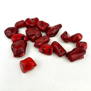 Dyed Chunky Coral Bead Lot