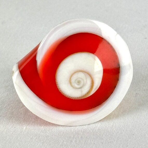 Large Carved Seashell Orange Statement Ring - image 2
