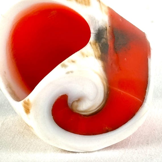 Large Carved Seashell Orange Statement Ring - image 8