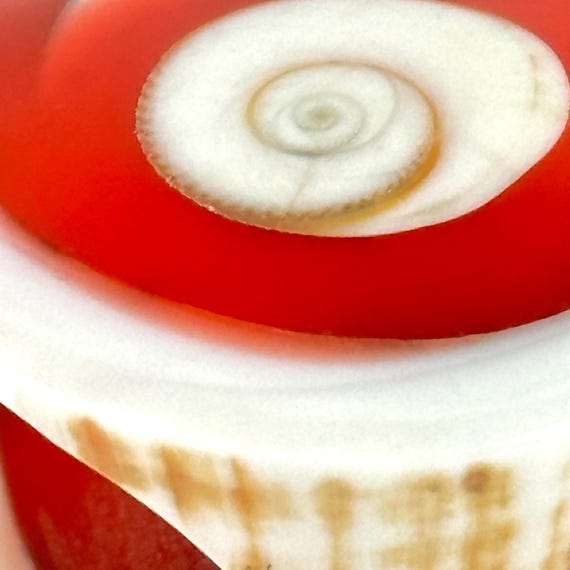 Large Carved Seashell Orange Statement Ring - image 9