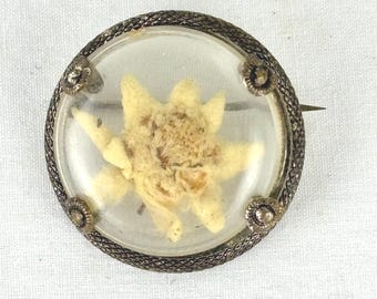 Vintage Mid Century Edelweiss Blumen Brosche