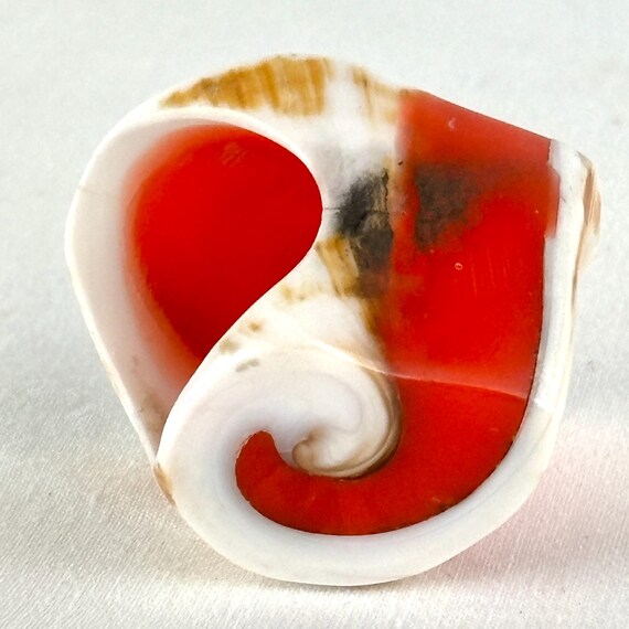 Large Carved Seashell Orange Statement Ring - image 3