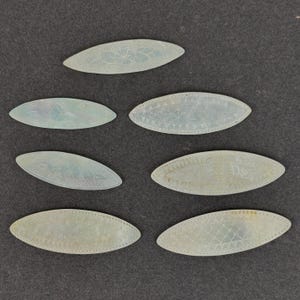 Seven Oval Antique Chinese Gaming Counters or Chips