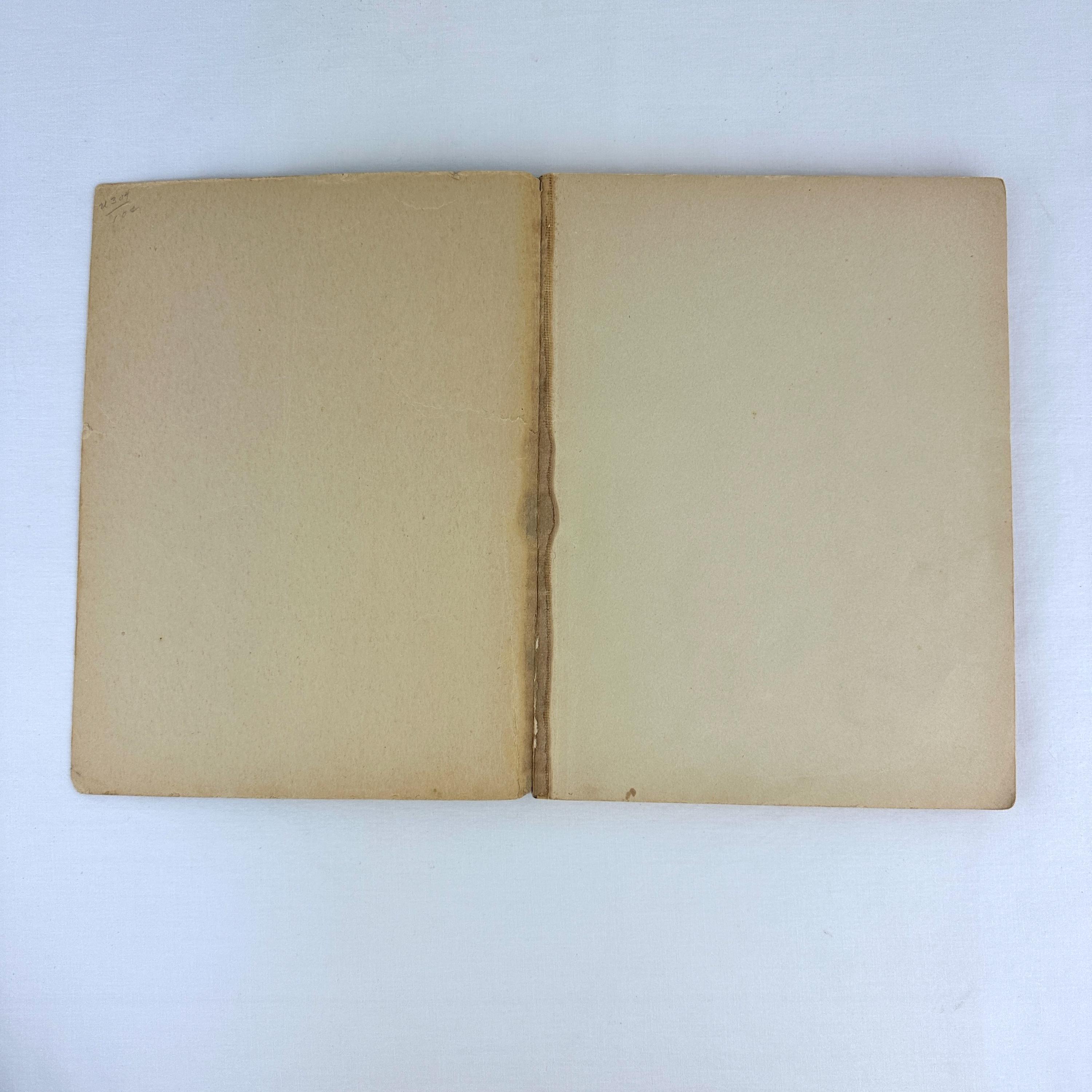 1936年ヴィンテージ「ミッキーマウス・イン・ピグミーランド」 - 米国