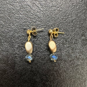 Blue Bead Eye Earrings
