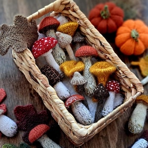 Mushroom Knitting Pattern Set of 10, Forest Mushroom Knitted Tutorial, Woodland Decor DIY, Autumn Ornament Knitting Pattern in English