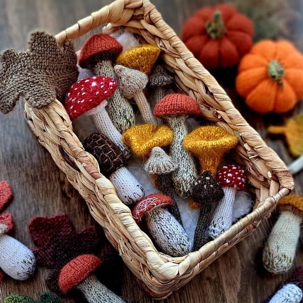 Mushroom Knitting Pattern Set of 10, Forest Mushroom Knitted Tutorial, Woodland Decor DIY, Autumn Ornament Knitting Pattern in English