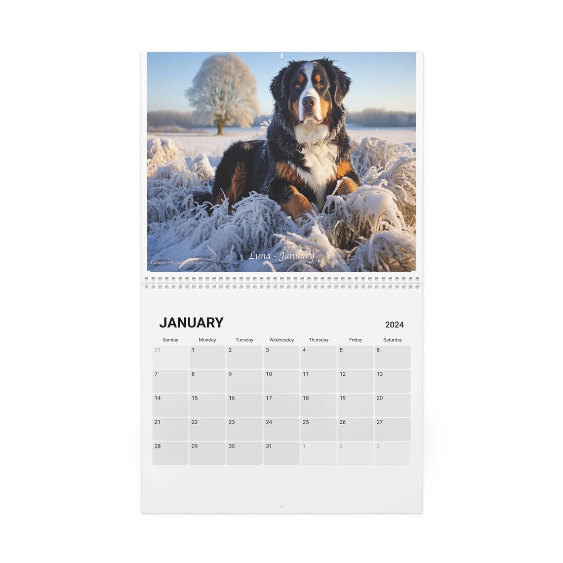 2024 Wall Calendar Bernese Mountain Dog Calendar. Bernese Mountain Dog