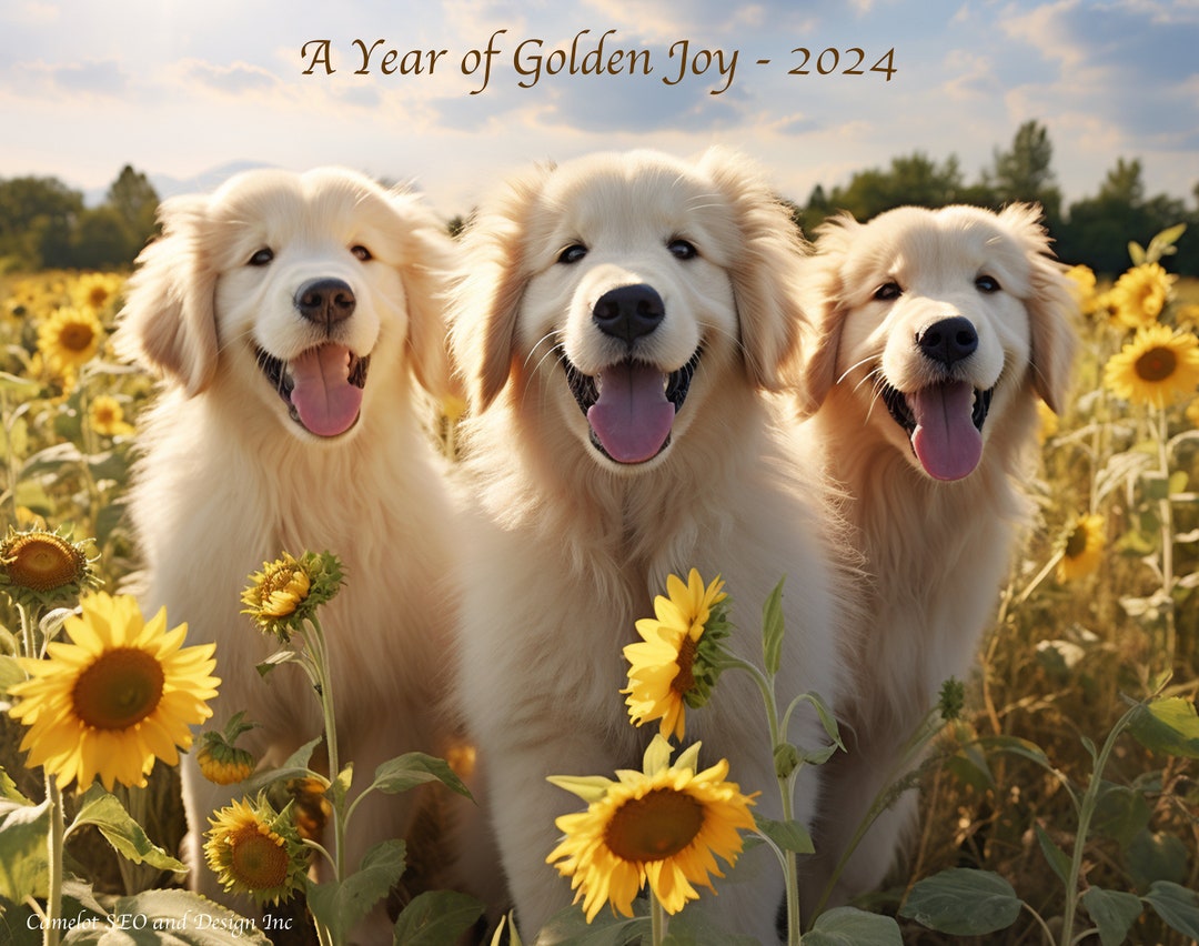 2024 Wall Calendar Golden Retriever. Twelve Months of Golden Joy