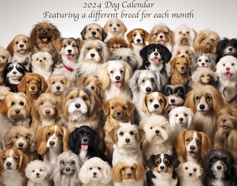 2024 Wall Calendar Favorite Dogs. Features 12 Most Popular Breeds. A
