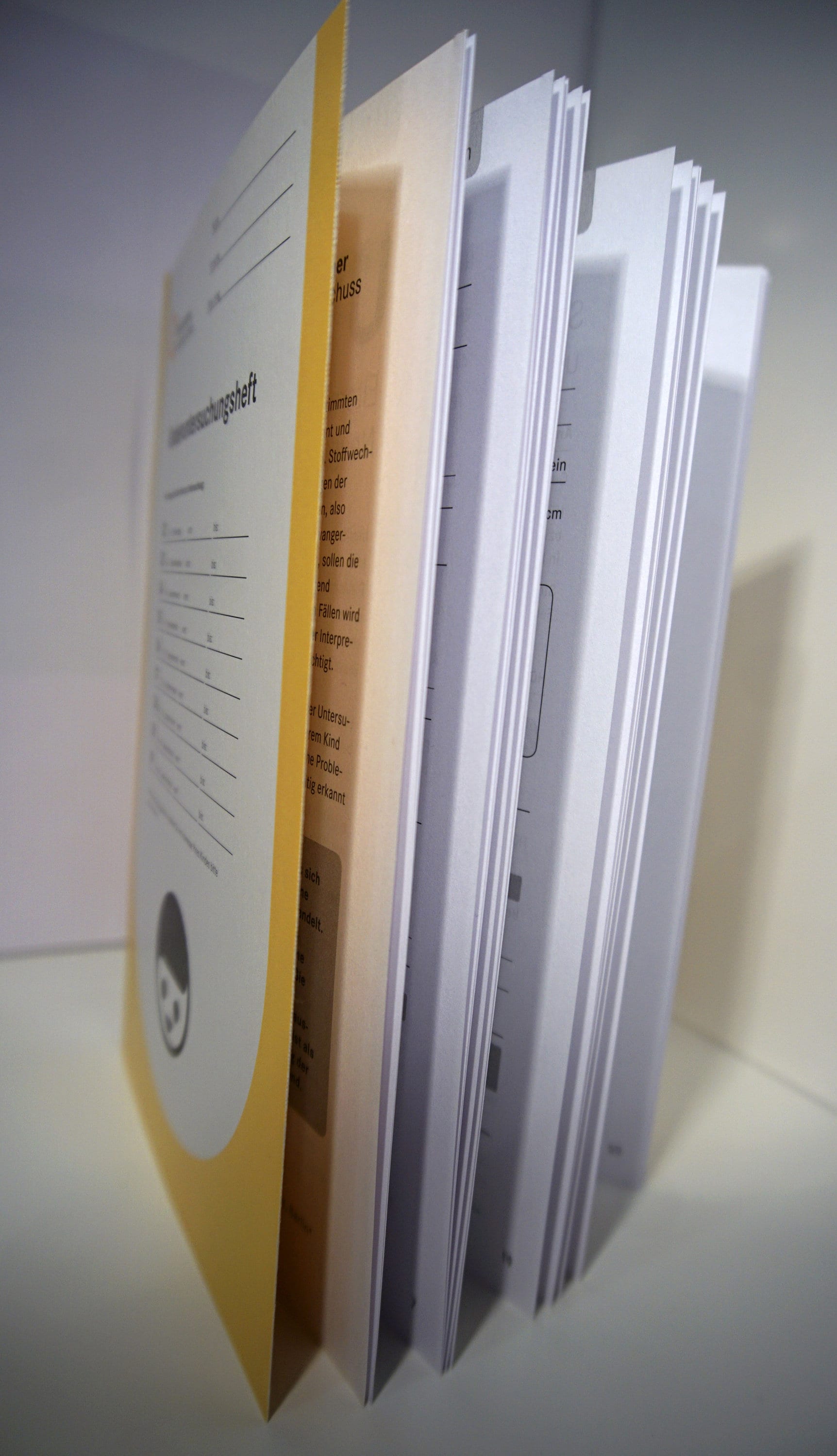 Deutsches U-Heft Uheft Kinderuntersuchungsheft Gelbes Heft mit