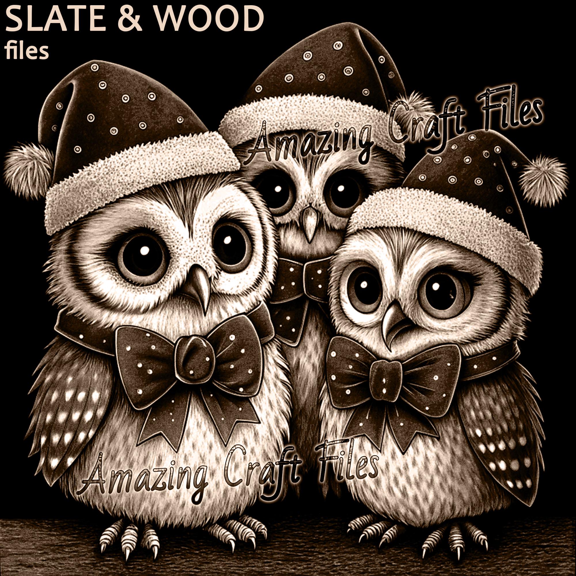 Owls Santa PNG, Owl 3D Illusion Laser FilesChristmas Digital Files For Laser Engraving, 3D Illusion