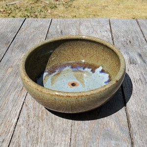 Small plant pot