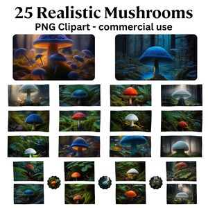 Clipart de cogumelo mágico, arte florestal realista, clipart de realismo, pacote de cogumelos PNG, clipart mágico, download instantâneo