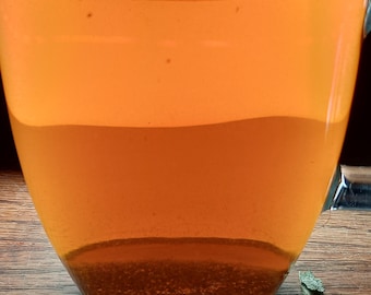 Yaupon Holly Tea: Small-batch Hand Processed Loose Leaf (1/2 oz) Organically Grown