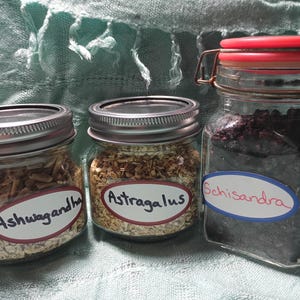 Puede incluir: Tres frascos de vidrio llenos de hierbas, etiquetados como "Ashwagandha", "Astragalus" y "Schisandra". Los frascos tienen tapas de metal y est&aacute;n sobre un fondo azul claro. El frasco de Schisandra tiene una tapa roja.