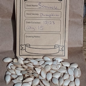 Seminole pumpkin seeds, 15 count