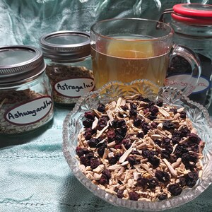 Puede incluir: Naturaleza muerta con ingredientes herbales para t&eacute;. Un cuenco de vidrio contiene una mezcla de bayas y ra&iacute;ces secas. Se ven tres frascos de vidrio etiquetados "Ashwagandha", "Astragalus" y "Schisandra", junto con una taza de t&eacute;.