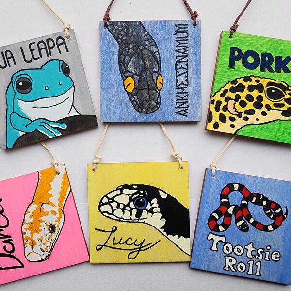 Reptile Enclosure Etsy