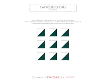 Anti-Dry Squares Two-Tone - Booklet in French