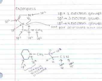Princeton Übersicht MCAT Organische Chemie Übersichtsnotizen