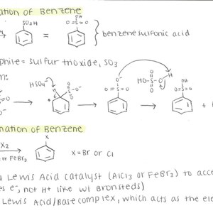 Può includere: Appunti scritti a mano su un foglio di carta bianco che spiegano la solfonazione e l'alogenazione del benzene. Gli appunti includono formule chimiche e diagrammi.