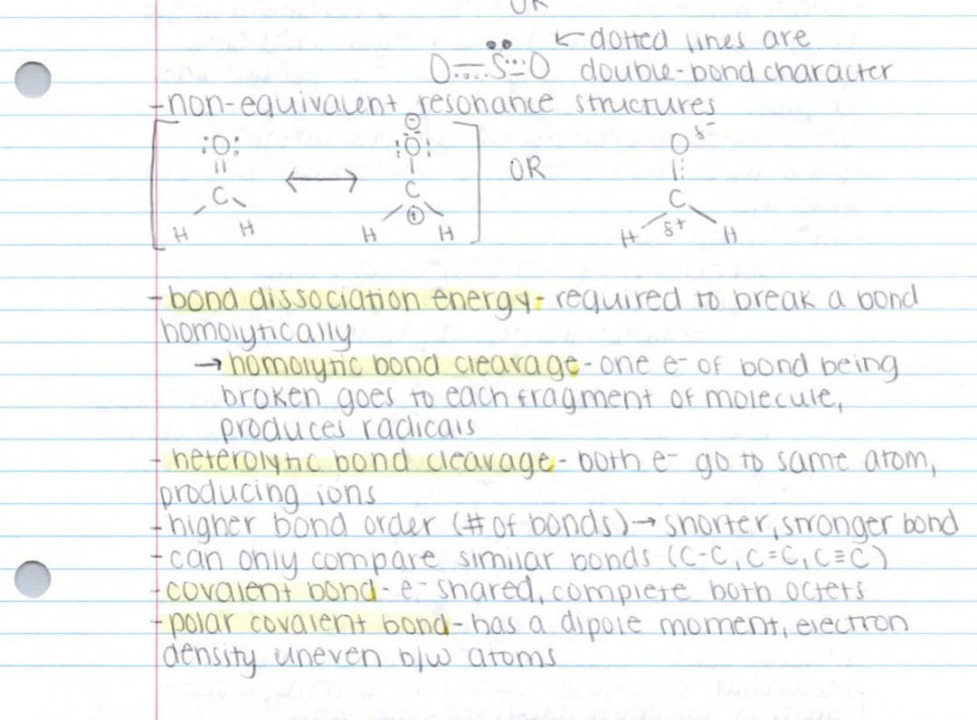 Princeton Review MCAT Chemistry Review Notes Etsy