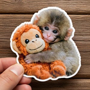 Puede incluir: Una pegatina que muestra un bebé mono abrazando a un mono de peluche. El bebé mono tiene pelaje gris y marrón, una cara rosada y ojos grandes y oscuros. El juguete de peluche es naranja con una cara sonriente y ojos negros. La pegatina está sujeta por una mano.