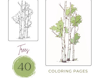 Tree Coloring Book: 40 Nature Landscape Pages (PDF Digital Download)