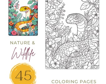 Woodland Animals Coloring Book: 45 Nature Designs (PDF Digital Download)