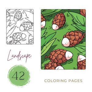 Landscape Coloring Book: 42 Relaxing Nature Pages (PDF Digital Download)