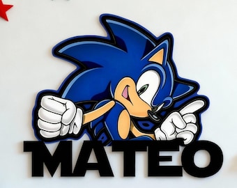 Cartello in metallo personalizzato con nome per la cameretta dei bambini ispirato al tema retrò di Sonic, cartello da parete in metallo con riccio blu, decorazione per la cameretta dei giocatori con nome personalizzato Mancave