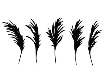 Pampas grass SVG, PNG, Cricut, outdoor grass clipart, dried flowers png, boho floral design