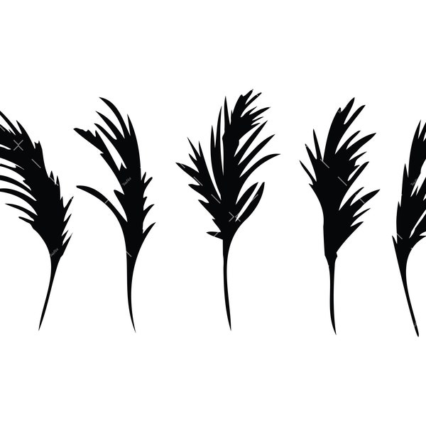 Pampas grass SVG, PNG, Cricut, outdoor grass clipart, dried flowers png, boho floral design