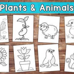 Coloring Book simple
easy coloring page
Coloring book
fruits vegetables
cute kawaii pages
kids coloring book
Kindergarten
Children's activity
toddlers coloring
digital coloring
for toddlers
printable
Digital download